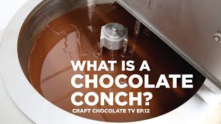 The Chocolate Conch  Episode 12  Craft Chocolate TV [upl. by Artemed]