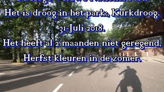 4K fietsroutes door Nederland Nationaal park de Hoge Veluwe Kurkdroog in het park [upl. by Tnecniv819]