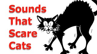 Make your Cat or Dog Go Crazy  Sounds Cats Hate All Time [upl. by Hach265]