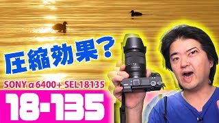 望遠レンズの圧縮効果は本当か？広角トリミングと比較！兼レビュー SONY α6400 高倍率ズームレンズキット E 18135 mm F3556 OSS SEL18135 [upl. by Dobrinsky]