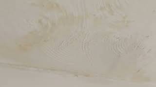 How to do a DIY repair to a patch of water damaged artex ceiling [upl. by Mario]