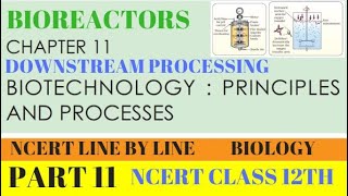 PART11 BIOREACTORSDOWNSTREAM PROCESSINGCLASS 12TH BIOLOGY CHAPTER 11 NCERT [upl. by Fessuoy]