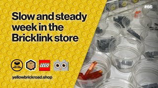 Slow and Steady Week in the Bricklink Store  LEGO Bricklink Vlog 66 [upl. by Vish65]