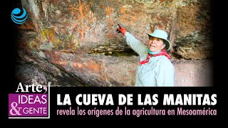 La Cueva de las Manitas revela los orígenes de la agricultura en Mesoamérica [upl. by Nitnelav]