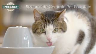 PetSafe® Streamside Ceramic Pet Fountain [upl. by Adnamra813]