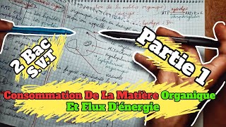 🔥🔥 Consommation De La Matière Organique Et Flux dénergie 🔻 Partie 1 🔻 2 Bac BIOF SVT 🔻1èr chapitre🔻 [upl. by Ylla126]