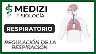 Clase 42 Fisiología Respiratoria  Regulación de la Respiración IGdoctorpaiva [upl. by Haymes]