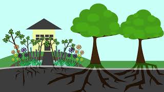 Rain Gardens 101  Full Video [upl. by Ennoryt]