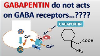 Gabapentin do not acts on GABA receptors is it true [upl. by Israel]