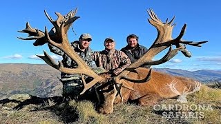 World Class New Zealand Red Stag Hunting With Venator Cardrona Safaris [upl. by Shig377]