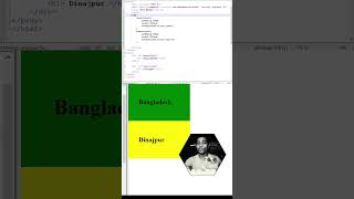 CSS 44 CSS Box Model  CSS3 Tutorial For Beginners  Web Development Tutorials Html and CSS [upl. by Sakmar784]