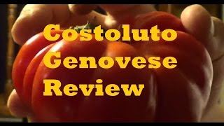 Costoluto Genovese tomato review [upl. by Notniv]