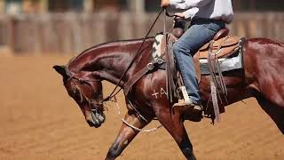 Hip No 1026 NRCHA Snaffle Bit Futurity Sales  MO JONEZ by Travelin Jonez [upl. by Javler]