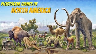 Extinct Pleistocene Megafauna of North America [upl. by Enram]