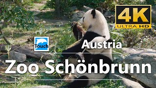 Zoo Schönbrunn Vienna Austria ► Travel Video 4K ► Travel in Austria TouchOfWorld [upl. by Alehcim]