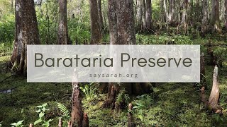 Barataria Preserve  New Orleans Louisiana [upl. by Verdi]