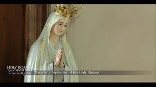 Catholic Daily Mass  Daily TV Mass  November 7 2022 [upl. by Anayt]