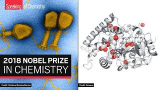 The 2018 Nobel Prize in Chemistry Directed evolution amp phage display — Speaking of Chemistry [upl. by Ollecram]