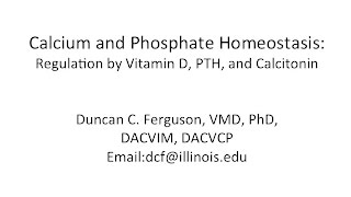 Calcium Physiology Regulation by Vitamin D PTH and Calcitonin [upl. by Kurtis]