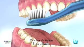 Cepillo Dental Colgate 360° para una buena salud bucal [upl. by Aglo745]