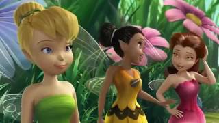 Disney Fairies Funny Episodes in Urdu [upl. by Vladimar272]