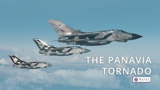 The Panavia Tornado — A Farewell [upl. by Iren]