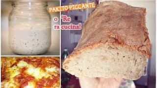 LIEVITO MADRE per PANE Fatto in casa Pizza Taralli • Ricetta di Pakitopiccante [upl. by Natanoj]