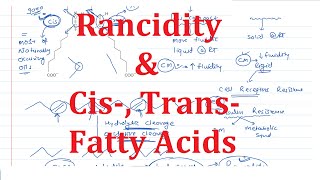 11 Cis Trans Fatty Acids amp Rancidity [upl. by Bussey961]