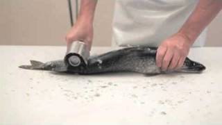 Amazing Fish Scaler [upl. by Stedt]