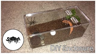 Tarantula Enclosure Build Arboreal or Terrestrial [upl. by Martz]