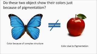 Photonic Crystals Working principle [upl. by Marita68]