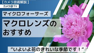 【カメラ技術解説】マイクロフォーサーズ「マクロレンズのおすすめ」～”いよいよ花のきれいな季節です！”～ [upl. by Uaerraj385]