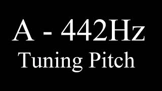 A  442Hz Tuning Pitch 1 hour [upl. by Dee Dee964]