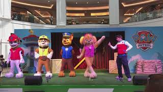 Paw Patrol Show  Live Real Mascot Video Episode [upl. by Arries]