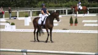 wwwreitschulesandbrinkde SOULMATE Sandro Hit  Calypso II Warendorf 0611 Dressage [upl. by Namajneb]