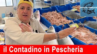 il Contadino in Pescheria a Senigallia contadino pesce pescheria senigallia [upl. by Assilev]