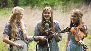 Fields of Gold  The Petersens LIVE [upl. by Damle367]