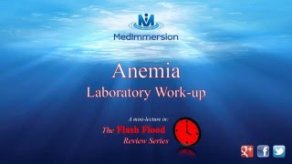 Anemia  Laboratory workup introduction [upl. by Noe]