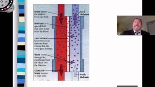 Hemo and Peritoneal Dialysis [upl. by Einitsed]