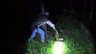 Python Cowboy catches 13 snake far out in Florida Everglades cypress swamp [upl. by Dira607]