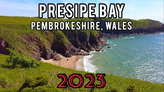 Presipe Bay 2023  Pembrokeshire  Wales UK [upl. by Drareg]