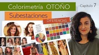 7 COLORIMETRÍA OTOÑO  SUBESTACIÓNES CÁLIDO OSCURO PROFUNDO Y SUAVE  COLORES  JOANA PATIKAS [upl. by Hescock]