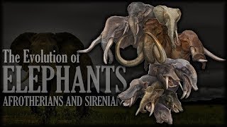 The Evolution of Elephants 🐘 [upl. by Miguel133]