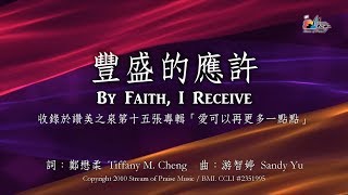 【豐盛的應許 By Faith I Receive】官方歌詞版MV Official Lyrics MV  讚美之泉敬拜讚美 15 [upl. by Uchida]