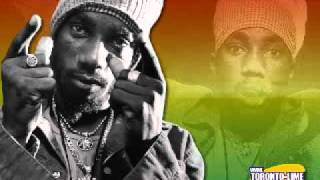 Sizzla feat Capleton  The Vibes [upl. by Guillemette]