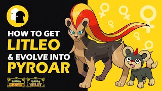 How to Get FEMALE LITLEO amp Evolve Into PYROAR Pokemon Scarlet and Violet FEMALE LION [upl. by Emmaline]