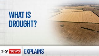 What is drought [upl. by Knorring]