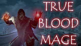 Skyrim Builds The Blood Mage  A Powerful Mage Build Dragon Age Inspired  Near Limitless Magicka [upl. by Stevie]