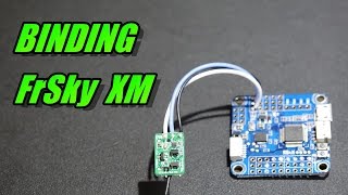 How To Bind FrSky XM amp XM Plus Receiver [upl. by Rafael]