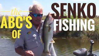 The ABCs of fishing the Senko worlds number one bass lure [upl. by Cymbre]